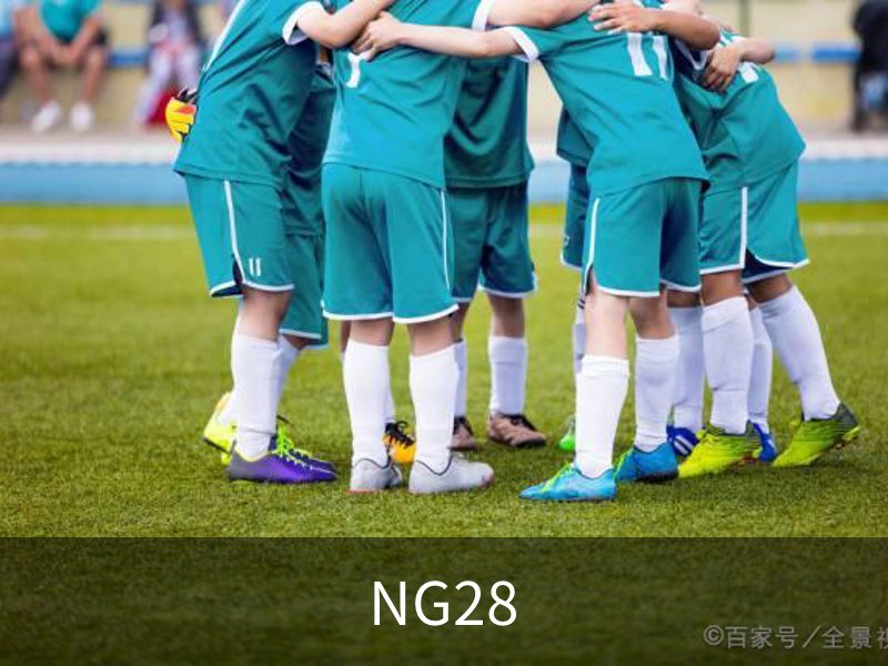 NG28介绍